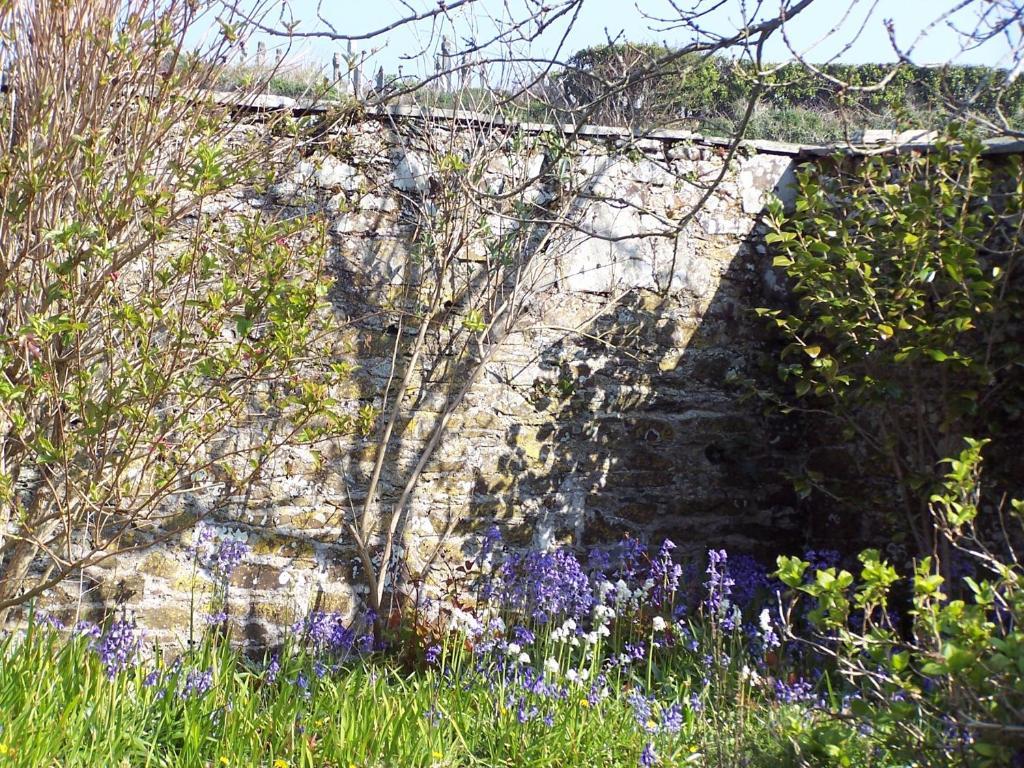 The Old Parsonage Bed & Breakfast Boscastle Exterior photo
