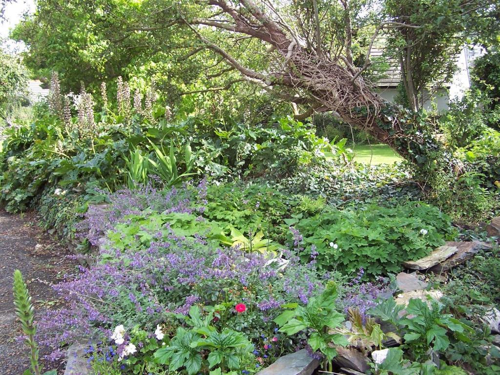 The Old Parsonage Bed & Breakfast Boscastle Exterior photo